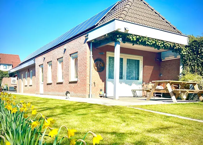Rooi Bij De Knoptoren